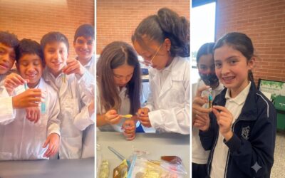 Práctica de Laboratorio – Química