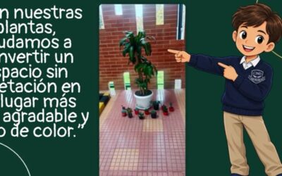 Concurso Eco Ambiental Canapro
